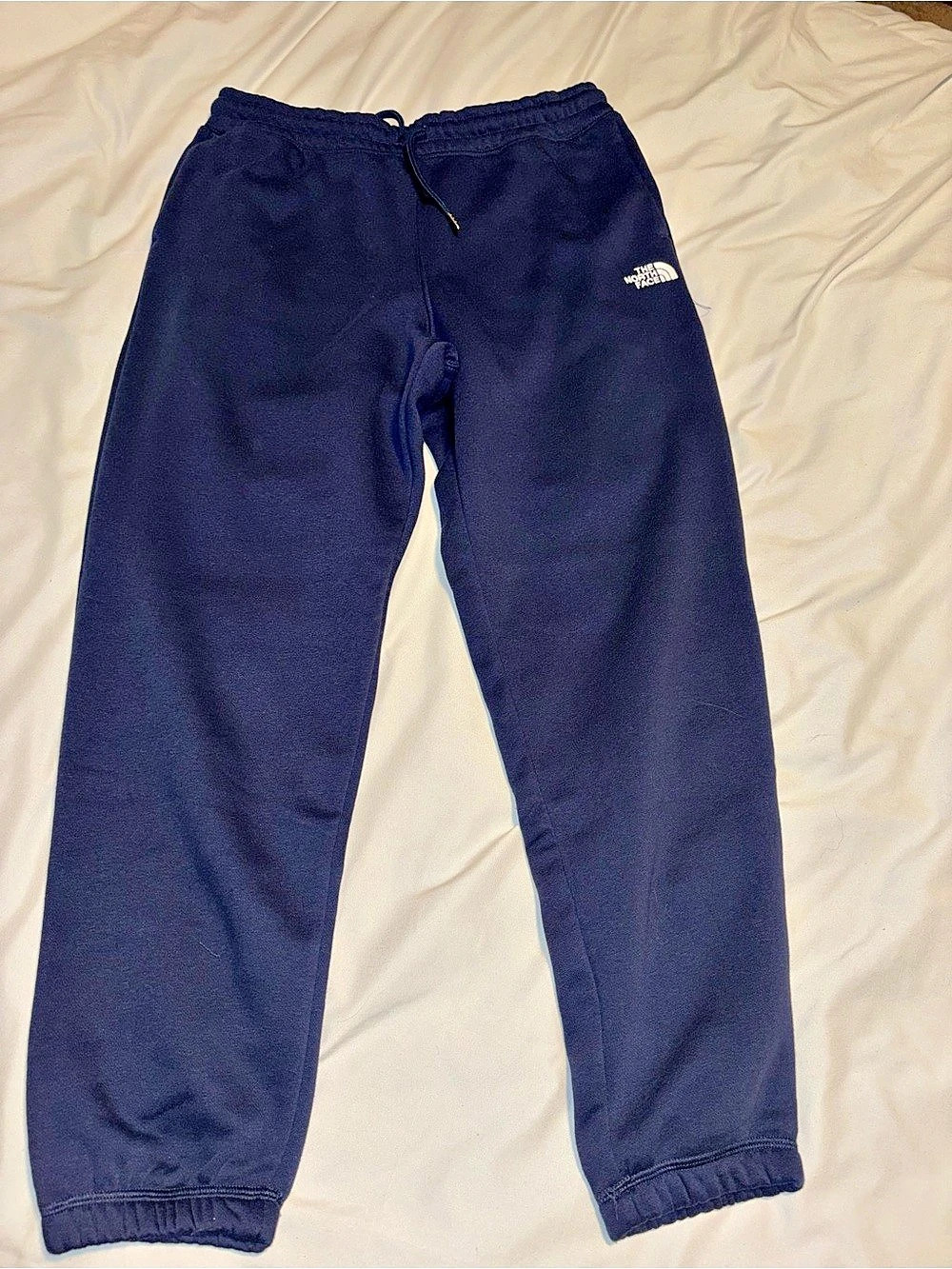 The North Face Jogger Pants in Blue